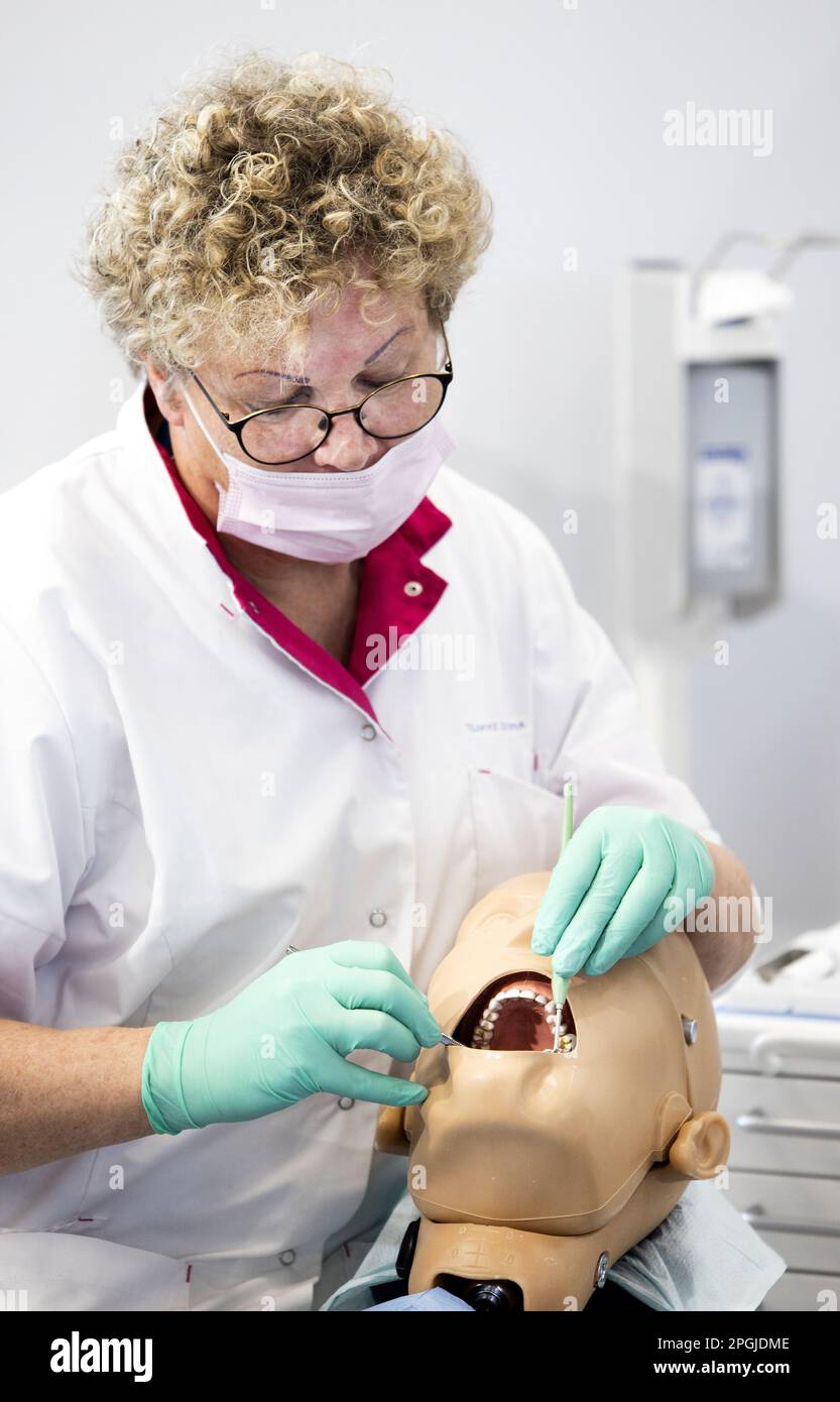 AMSTERDAM VMBO students and MBO students compete for the national