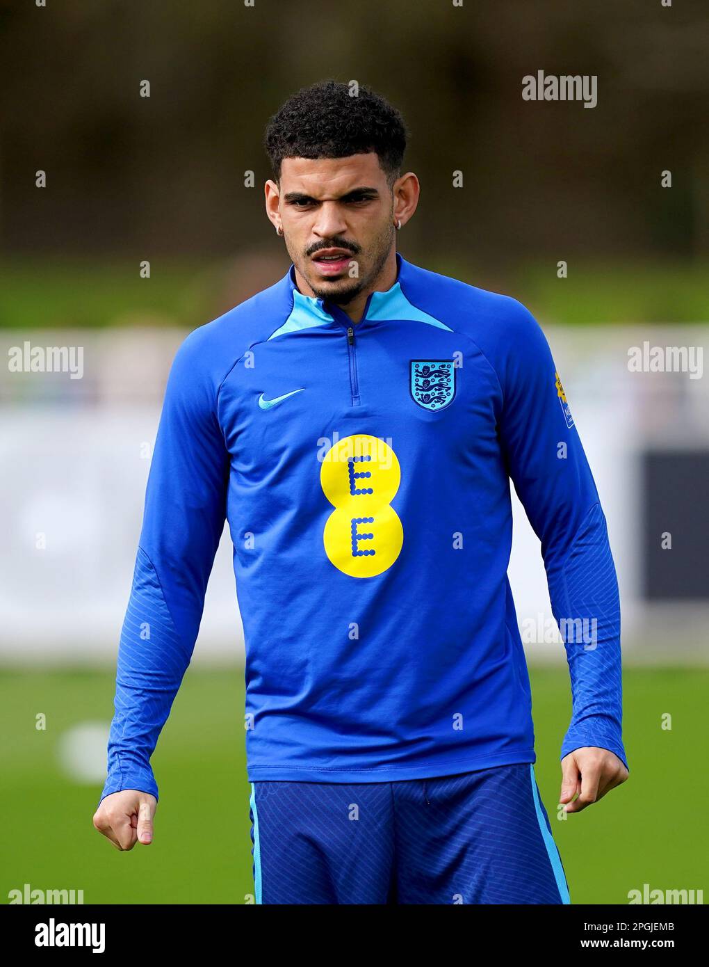 Morgan Gibbs White England Hi res Stock Photography And Images Alamy morgan-gibbs-white-england-hi-res-stock-photography-and-images-alamy