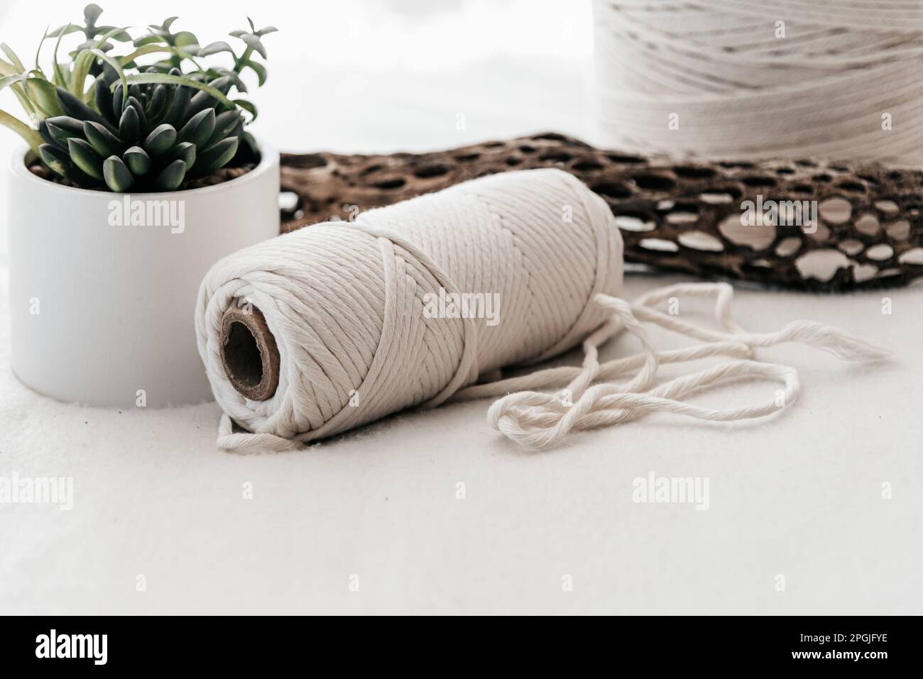 An arrangement of twine artfully laid out beside a potted plant