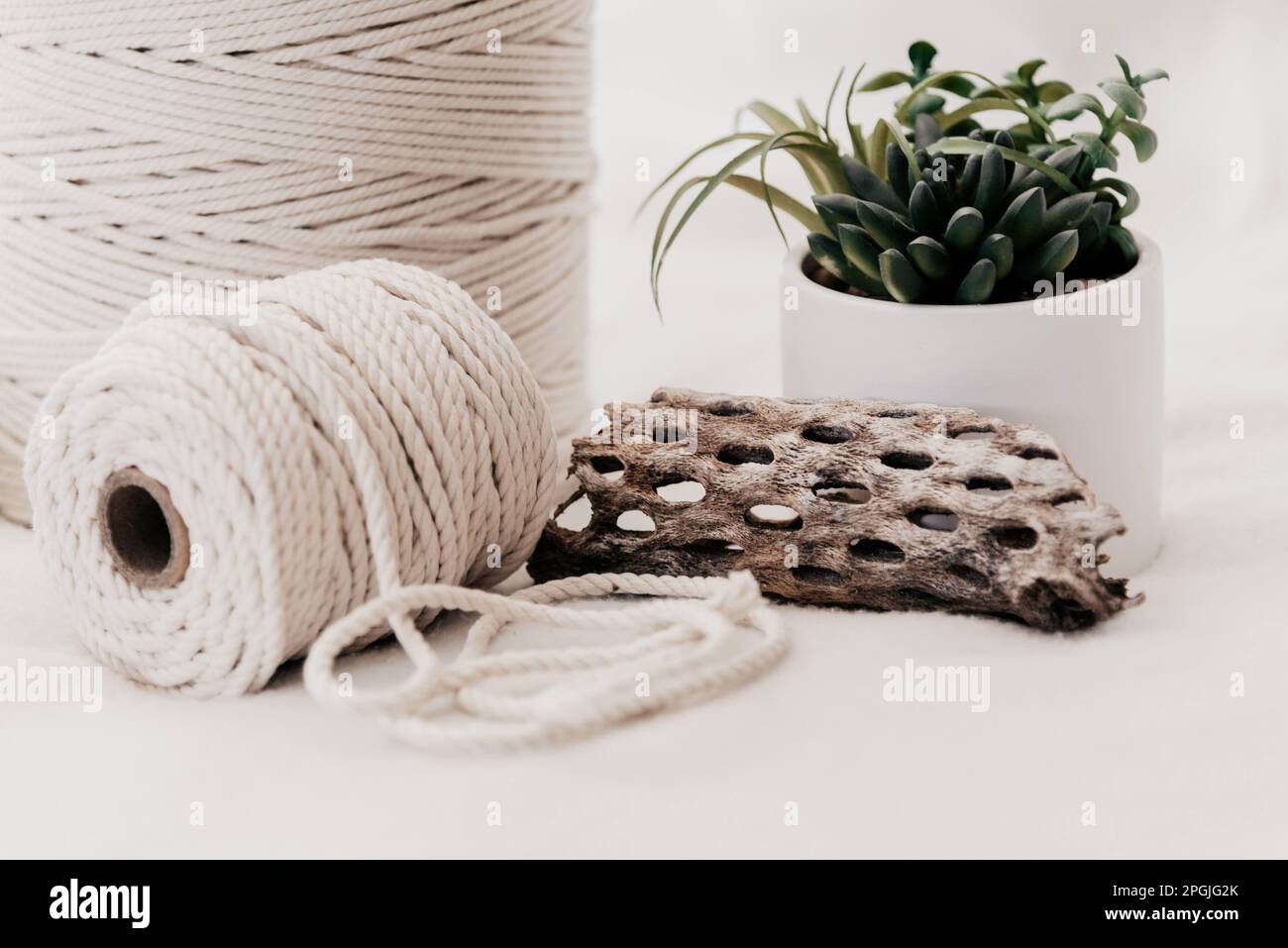 An arrangement of twine artfully laid out beside a potted plant