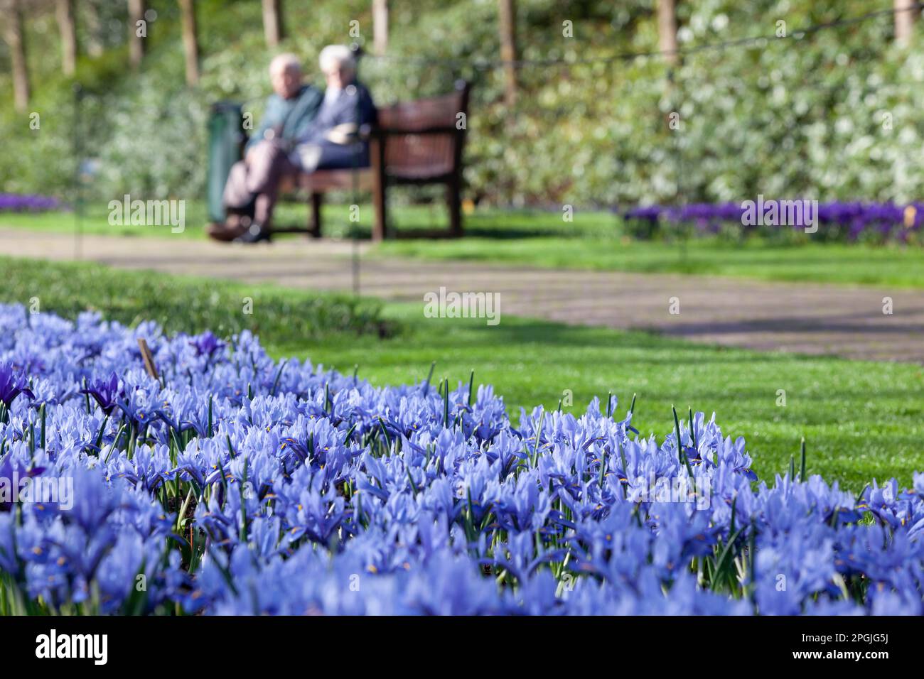 Amsterdam, The, Netherlands. 23rd Mar, 2023. The annual opening of the