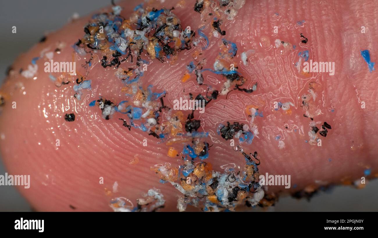 Particles of plastic crushed in water on the ecelogy researcher's finger. Plastic over pollution of the world ocean Stock Photo