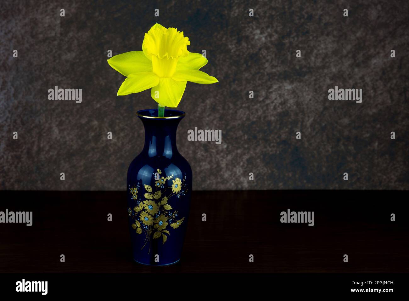 Single daffodil flower in an old small blue oriental flower vase on a