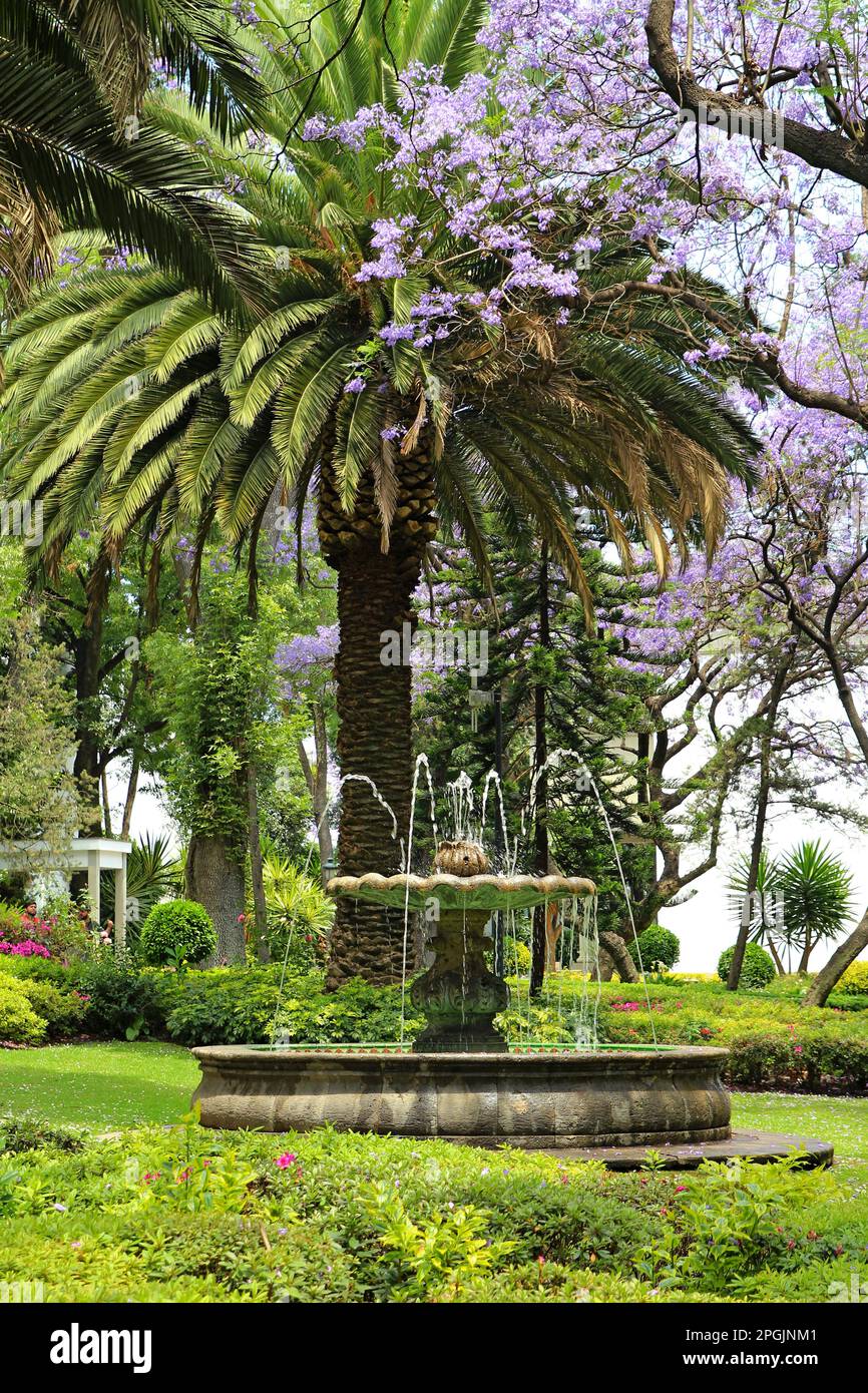 Tropical garden Los Pinos in the Chapultepec Park in Mexico city. Stock Photo