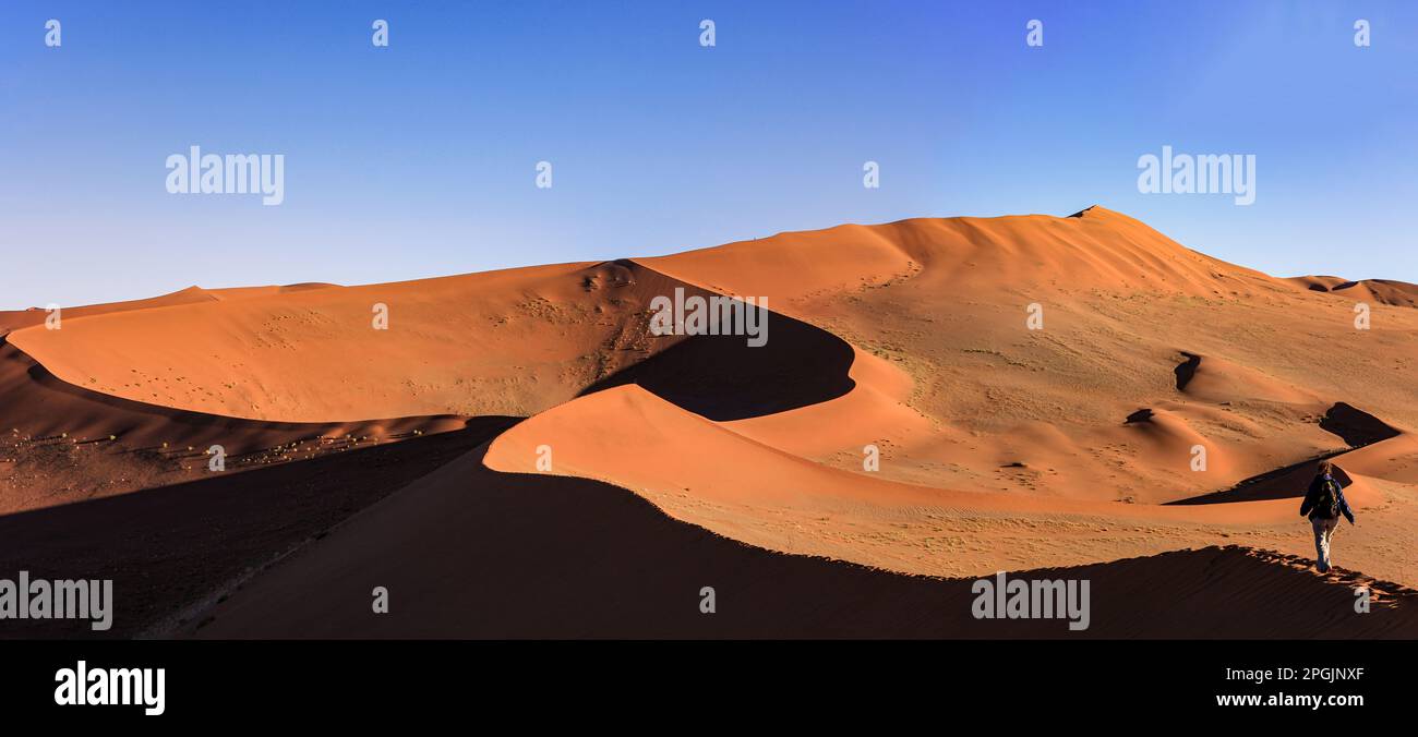 Sand Dunes of the Sossusvlei in Namibia Stock Photo - Alamy