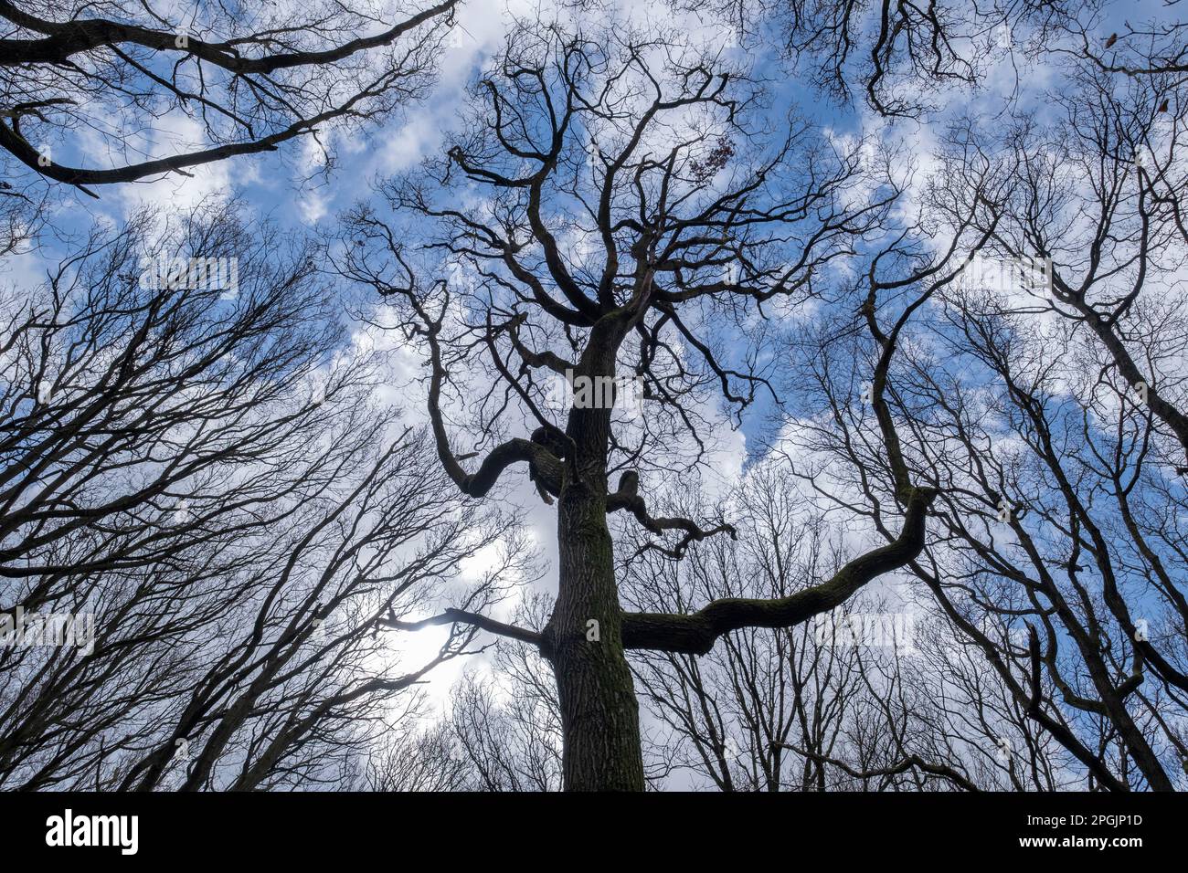 Worcestershire silhouette hi-res stock photography and images - Alamy