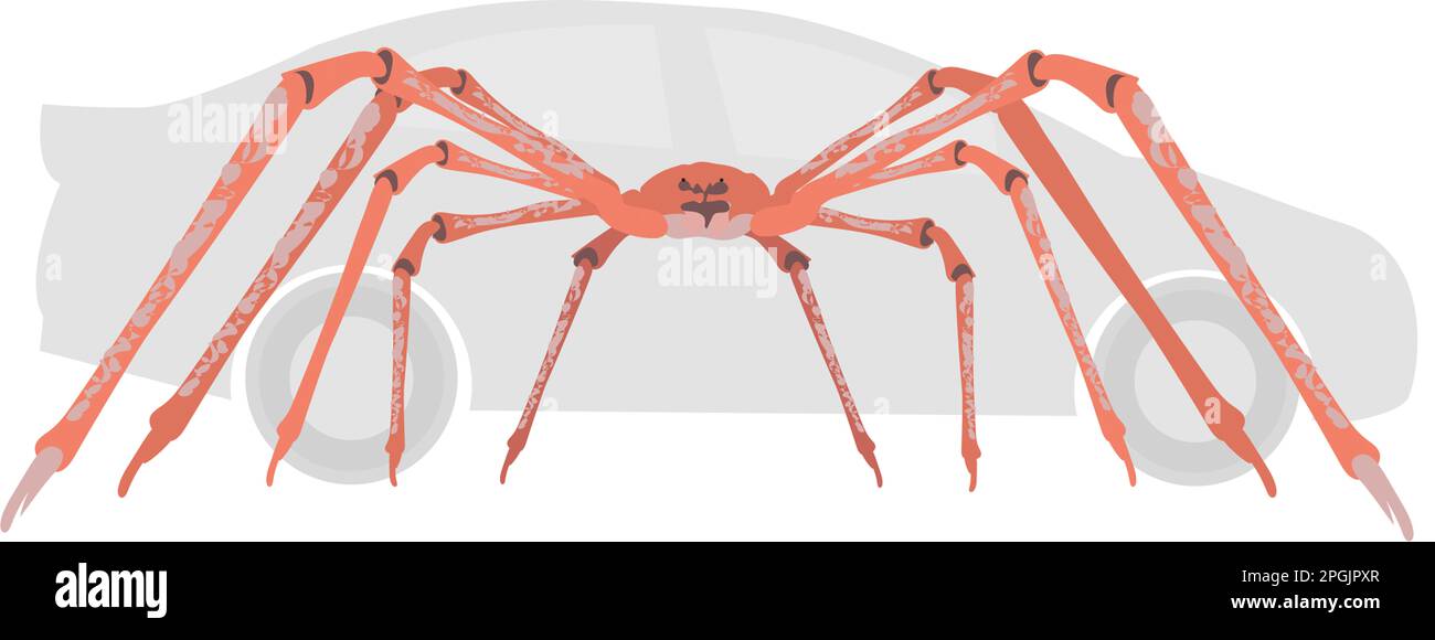 The Japanese giant spider crab Stock Photo Alamy