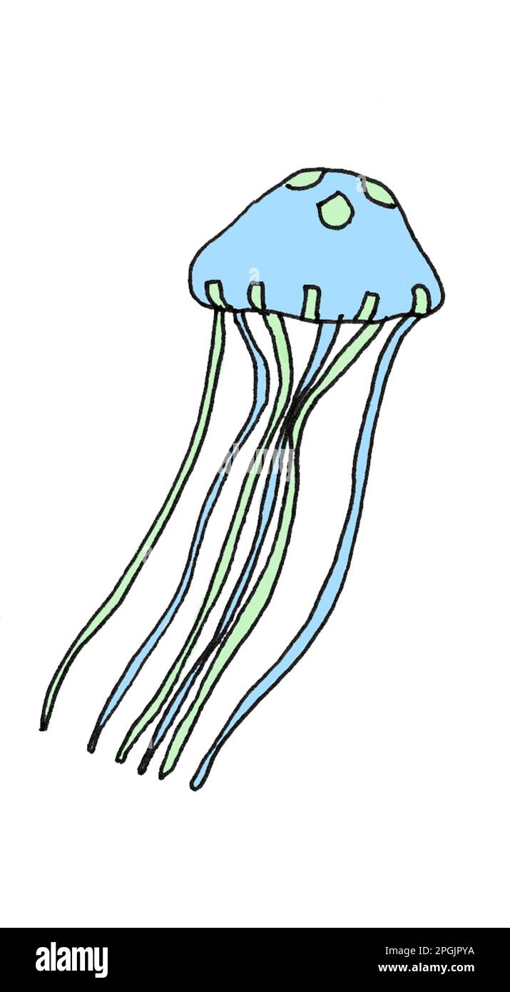 Illustration of jelly fish Stock Photo
