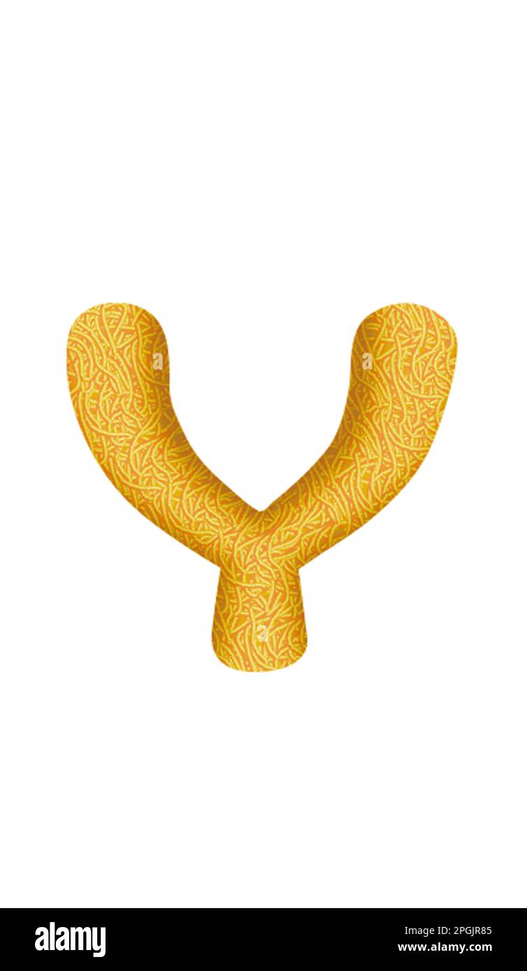 Chromosome x y hi-res stock photography and images - Alamy