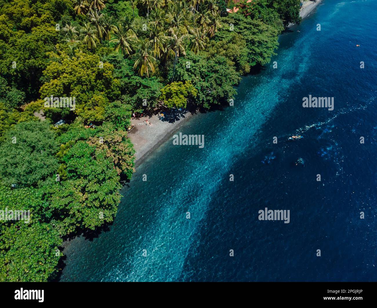 Aerial view of scenic coastline with transparent ocean and tropical beach under trees. Stock Photo