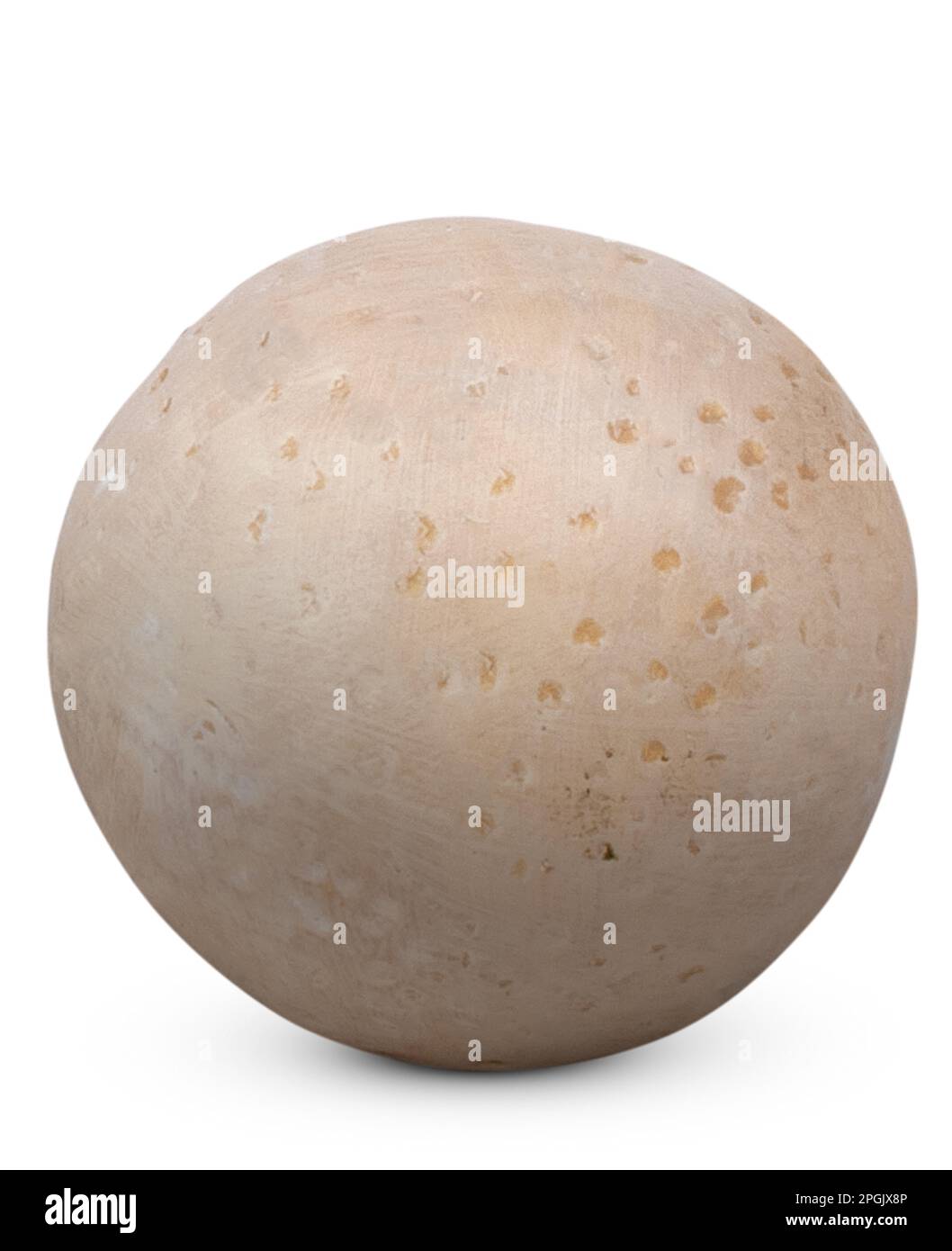 Model dinosaur egg Stock Photo - Alamy