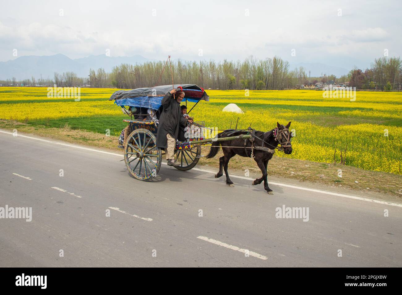 Tonga horse cart hi-res stock photography and images - Alamy