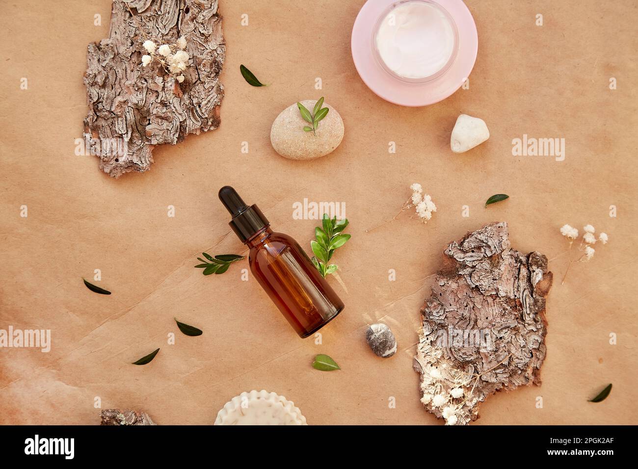 Dropper glass bottle, hyaluronic acid, mucin cream - natural beauty products. Natural beauty treatments among tree bark and pebbles. Stock Photo