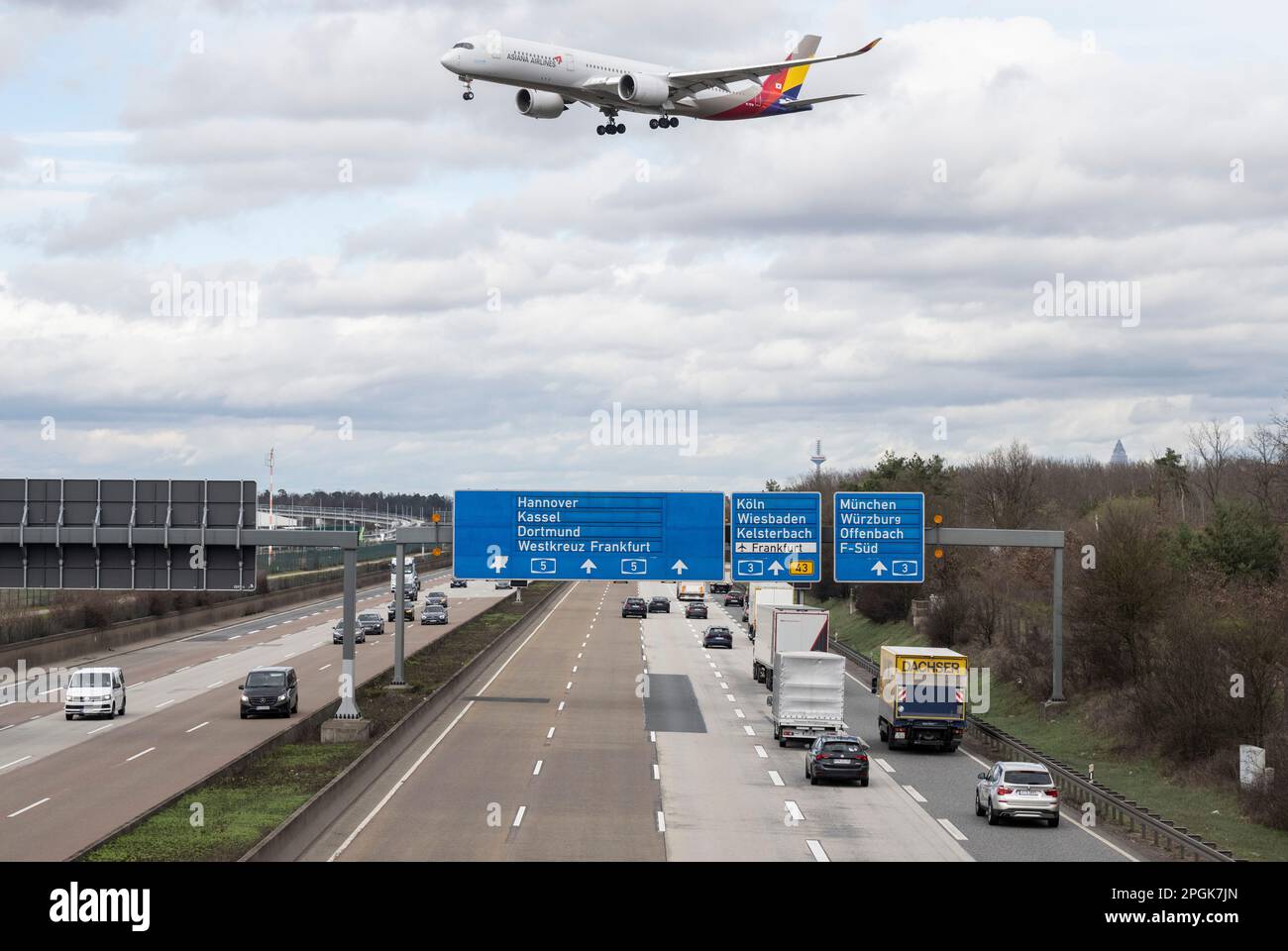 23-march-2023-hesse-frankfurt-main-an-asiana-airlines-passenger
