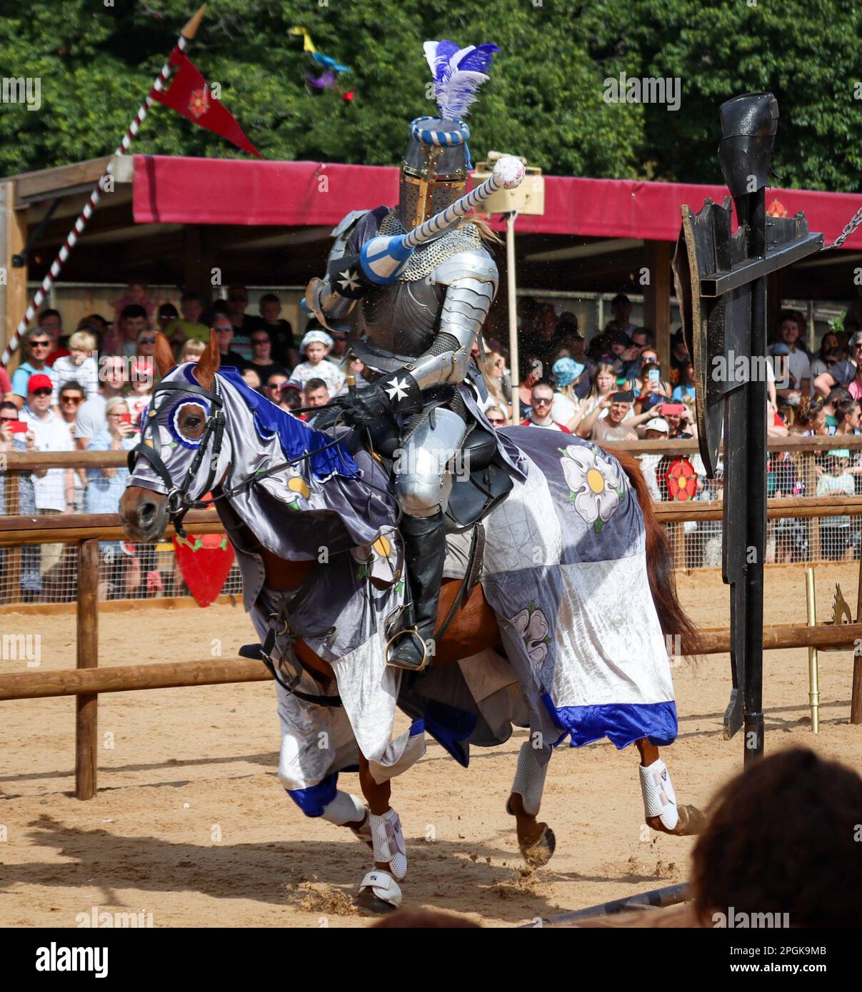 Man riding a horse wearing a suit hires stock photography and images
