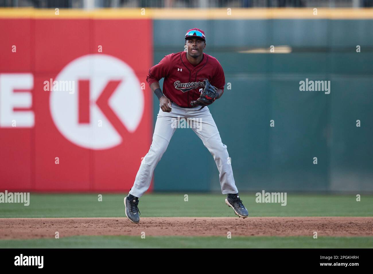 South Carolina Gamecocks third baseman Michael Braswell (7) on defense  against the Charlotte 49ers at Truist Field on March 21, 2023 in Charlotte,  North Carolina. (Brian Westerholt/Four Seam Images via AP Stock