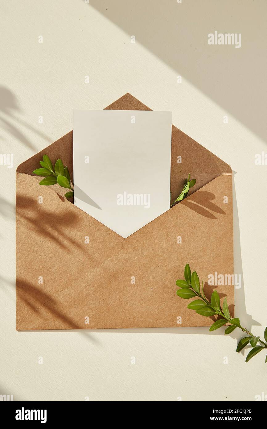 Open envelope stationery card mockup invitation,blank greeting card and green leaves under shadows - minimal composition. Place for text. Stock Photo