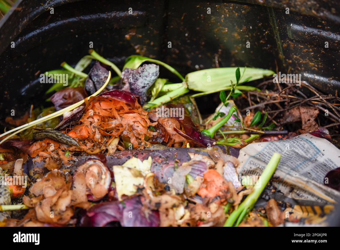 Food recycling bin to make compost from household food waste in a