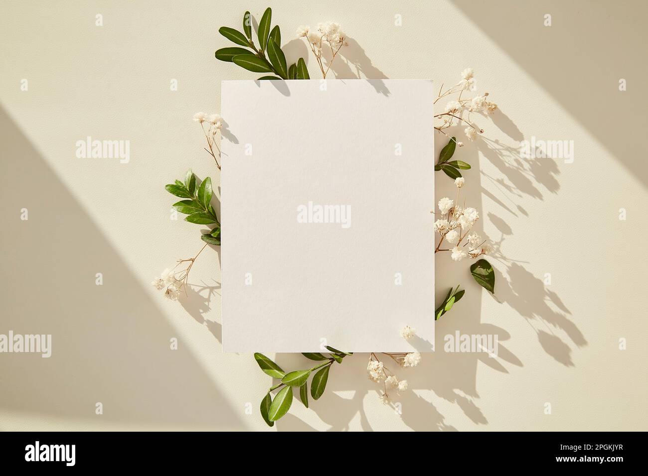 Springtime stationery card with leaves and gypsophila under sunny shadows. Sustainable, reducing, zero waste, green energy concept. Copy space. Stock Photo