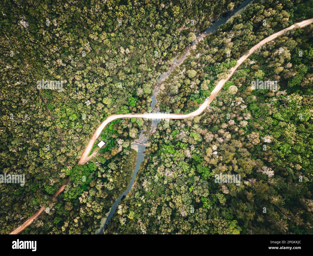 Aerial view of a winding road surrounded by lush green trees in a ...