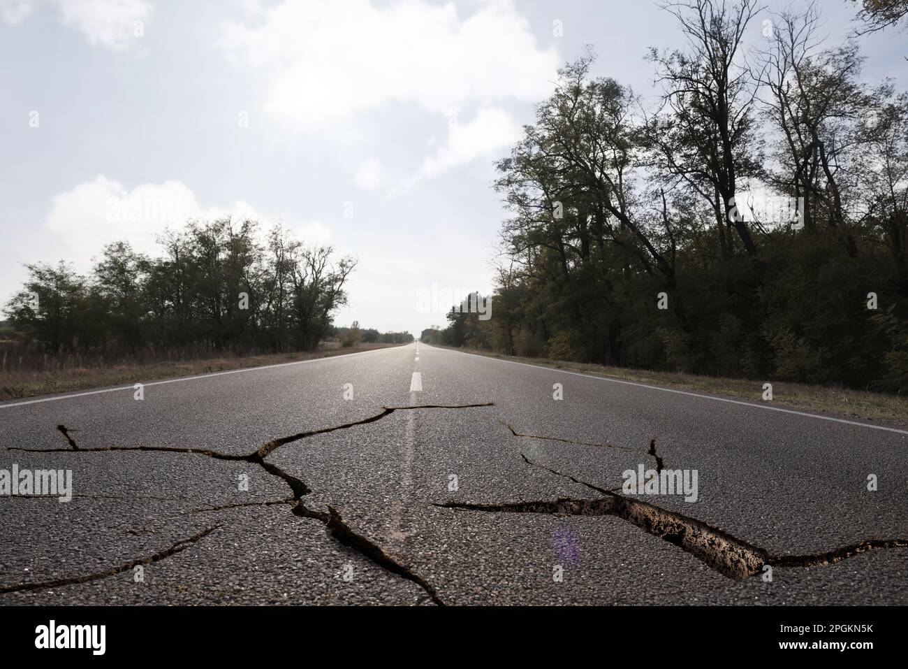 Vivid Nersa Cracks Whip After 'catastrophic' R54bn Tariff Blunder Image Photography Vivid Nersa Cracks Whip After 'catastrophic' R54bn Tariff Blunder Image Photography