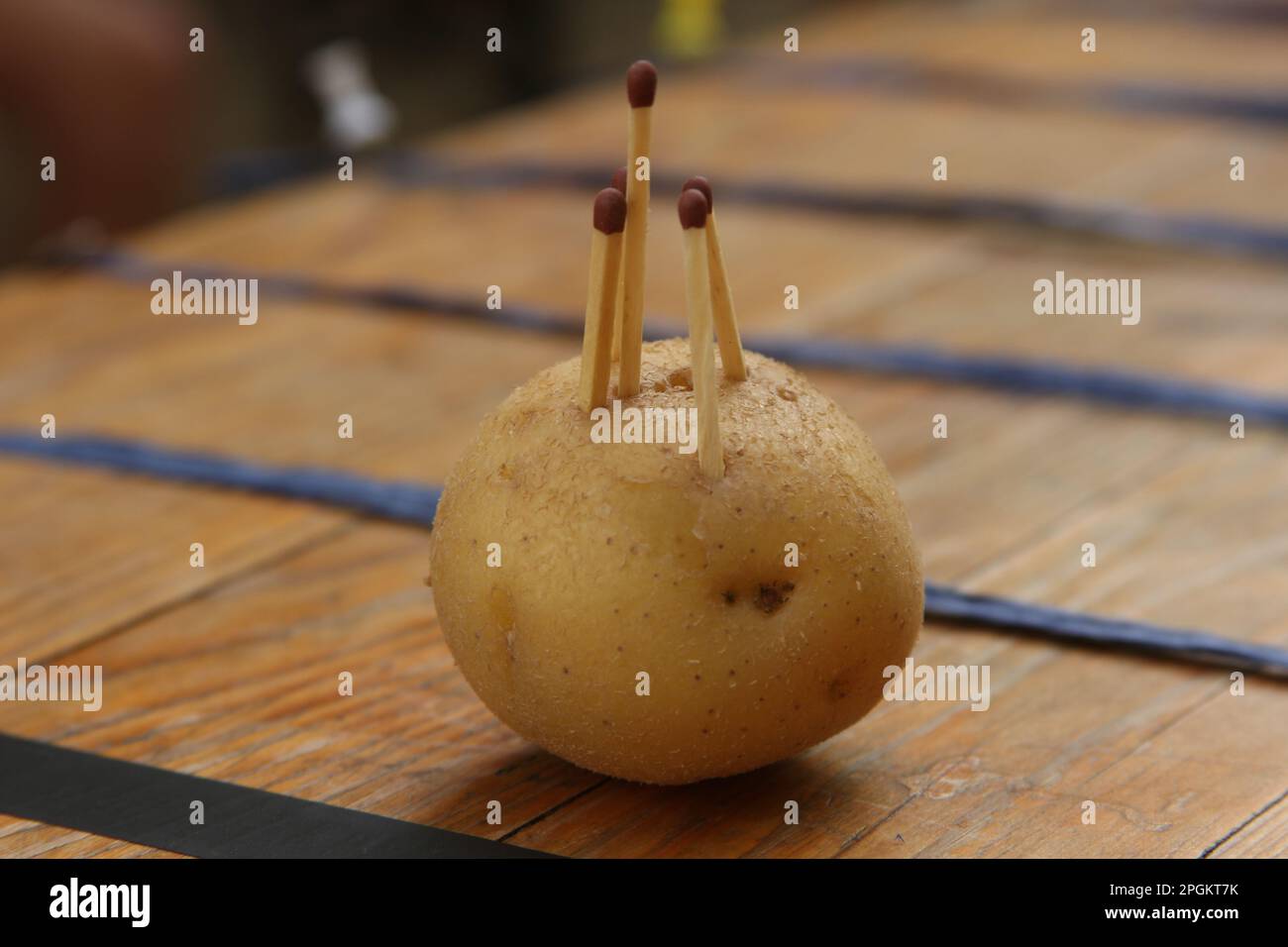 stellenanzeigen waldorf
