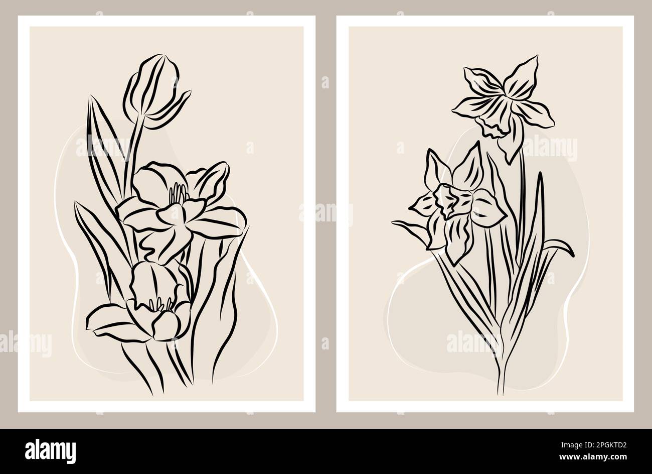 Tulip and Daffodil flowers Line Drawings set Stock Vector Image & Art
