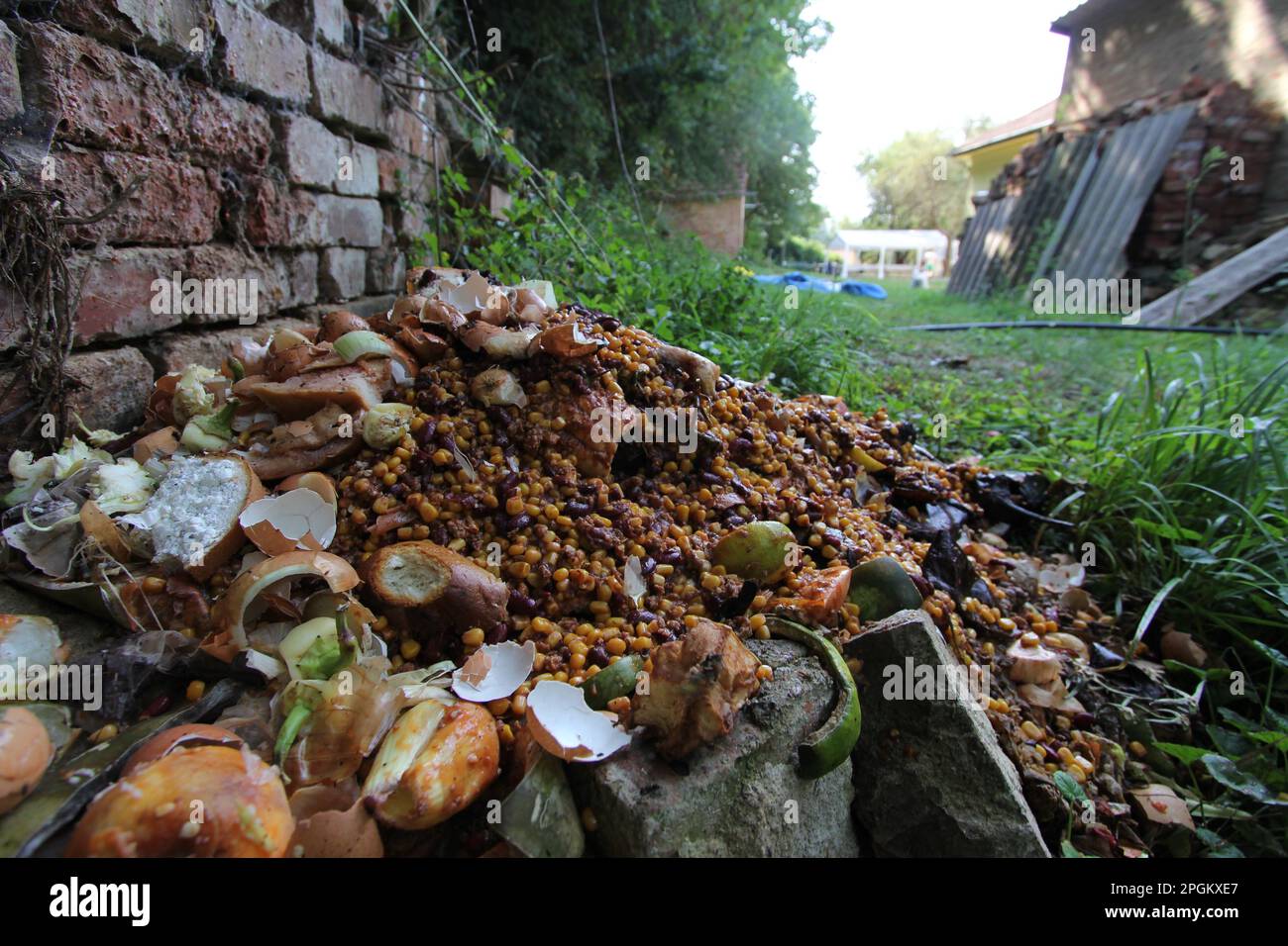 Compost in the backyard of a village house. The decayed organic material used as a plant fertilizer Stock Photo