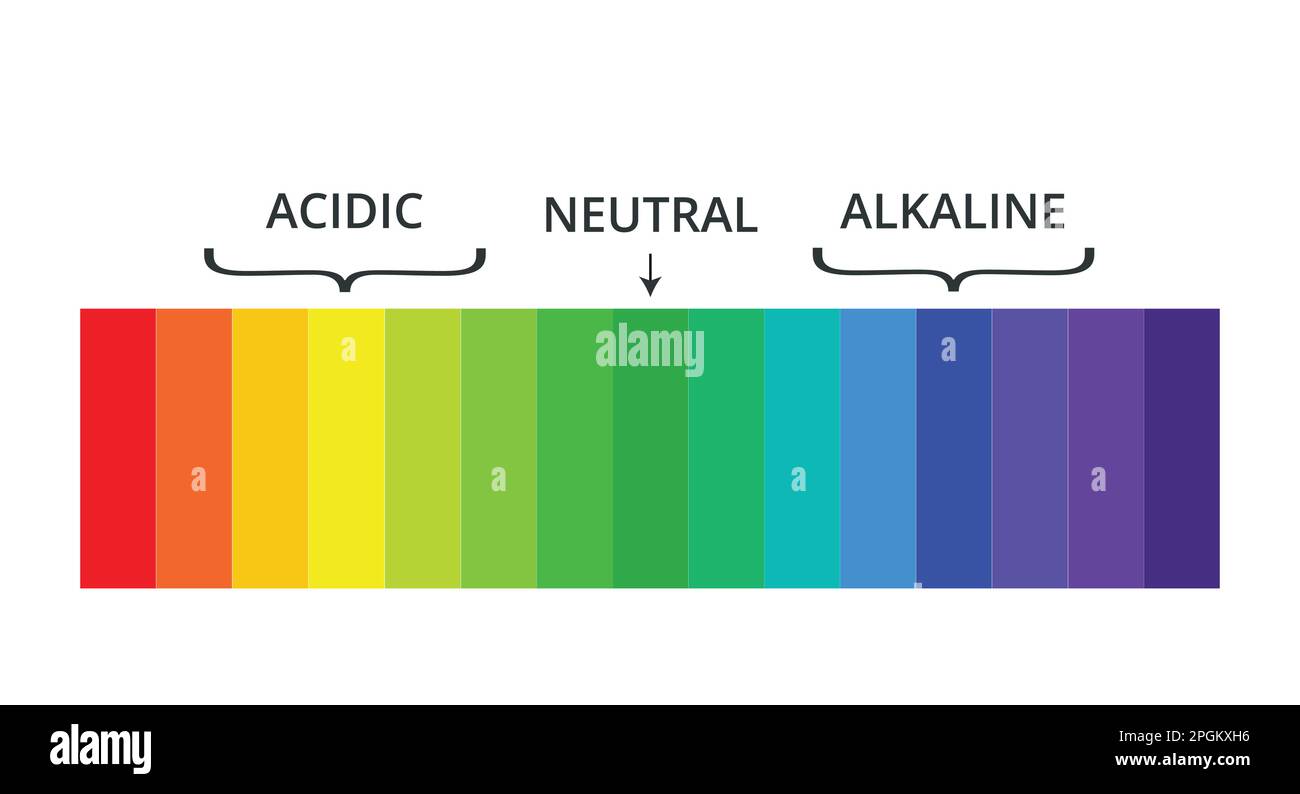 Ph Scale With Labels And Spectrum Indicators Stock Vector Image And Art