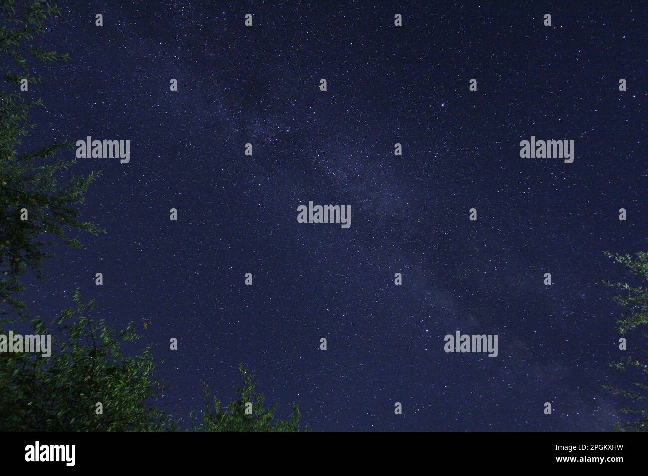 Night sky with stars in the nature. The Milky way visible and some