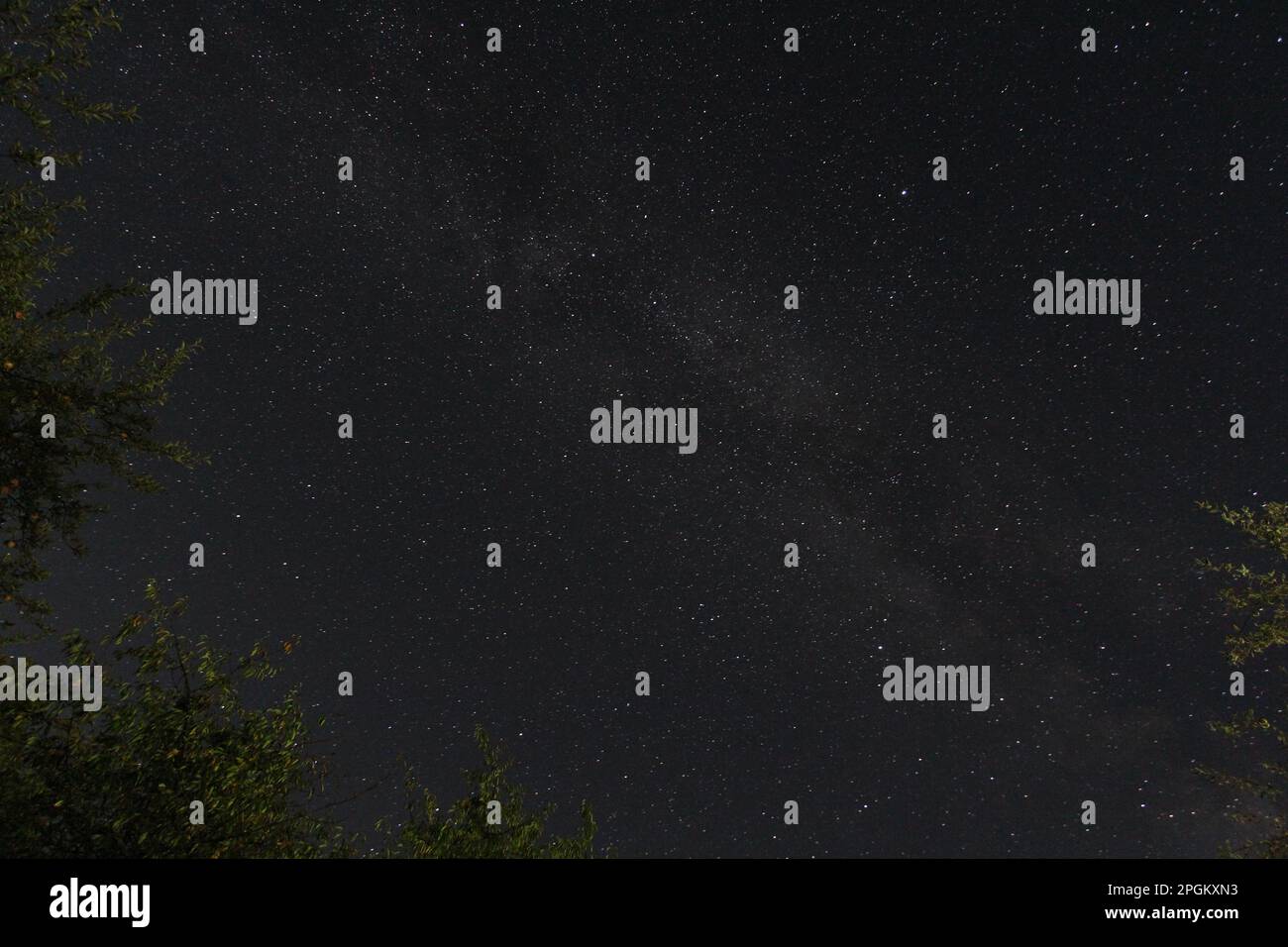 Night sky with stars in the nature. The Milky way visible and some