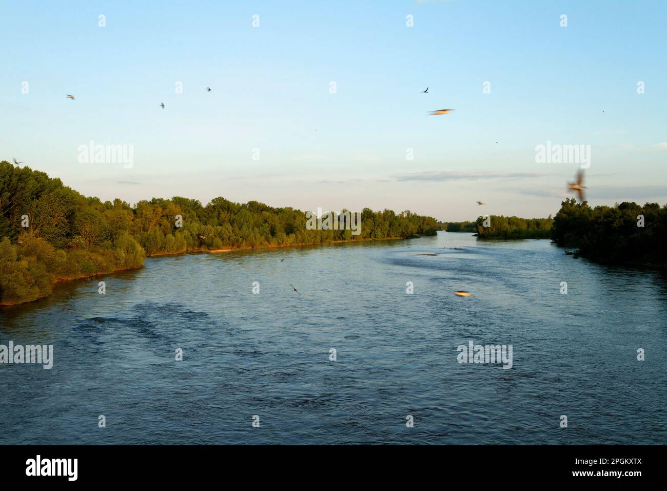 The river Allier in France Stock Photo