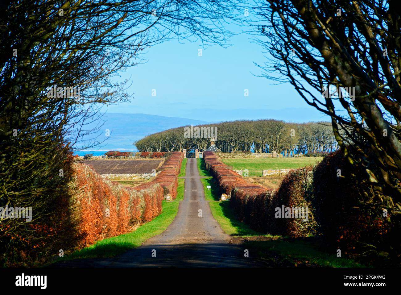 The approach road to the Castle of Mey, near Thurso, Caithness, Scotland, UK Stock Photo