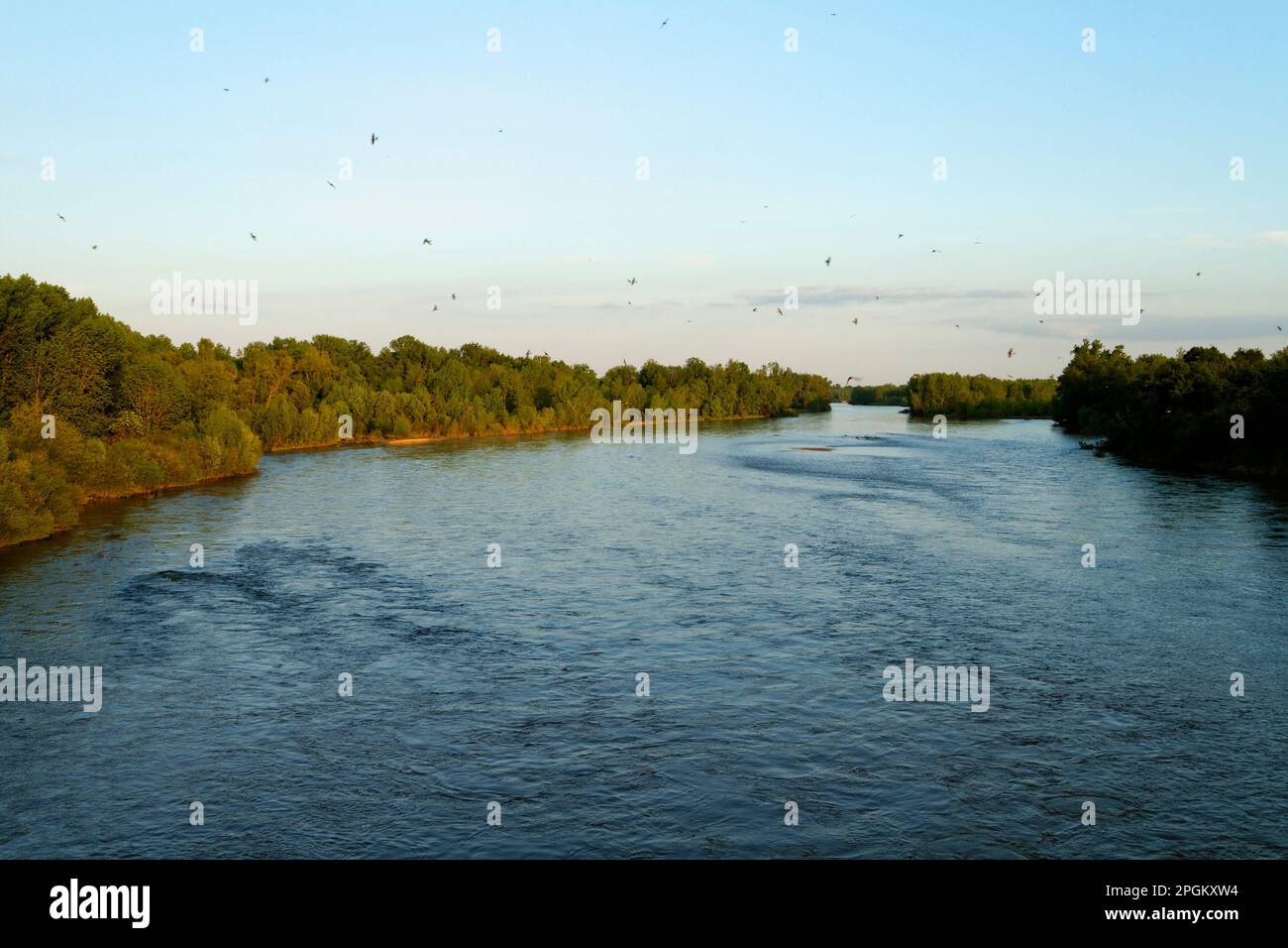 The river Allier in France Stock Photo