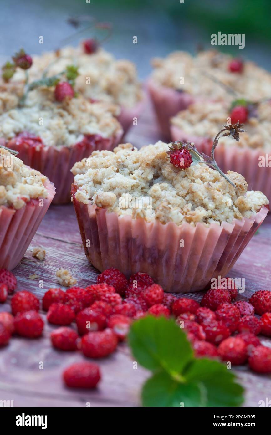 Erdbeer-Crumble, Wald-Erdbeer-Crumble, Walderdbeer-Crumble, Crumble mit Walderdbeeren, Krümelkuchen, Kuchen, in Muffinförmchen, Wald-Erdbeere, Walderd Stock Photo