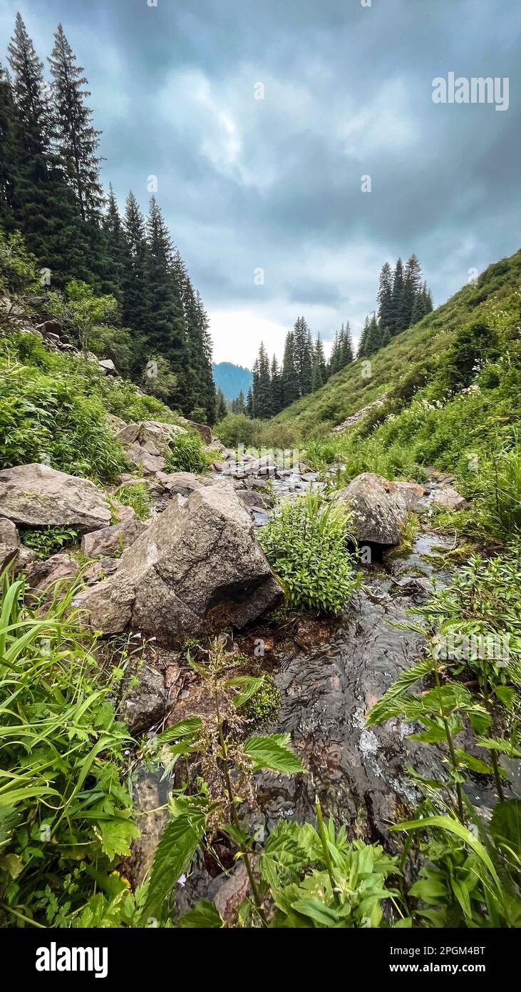 High waterfall among rocks hi-res stock photography and images - Alamy