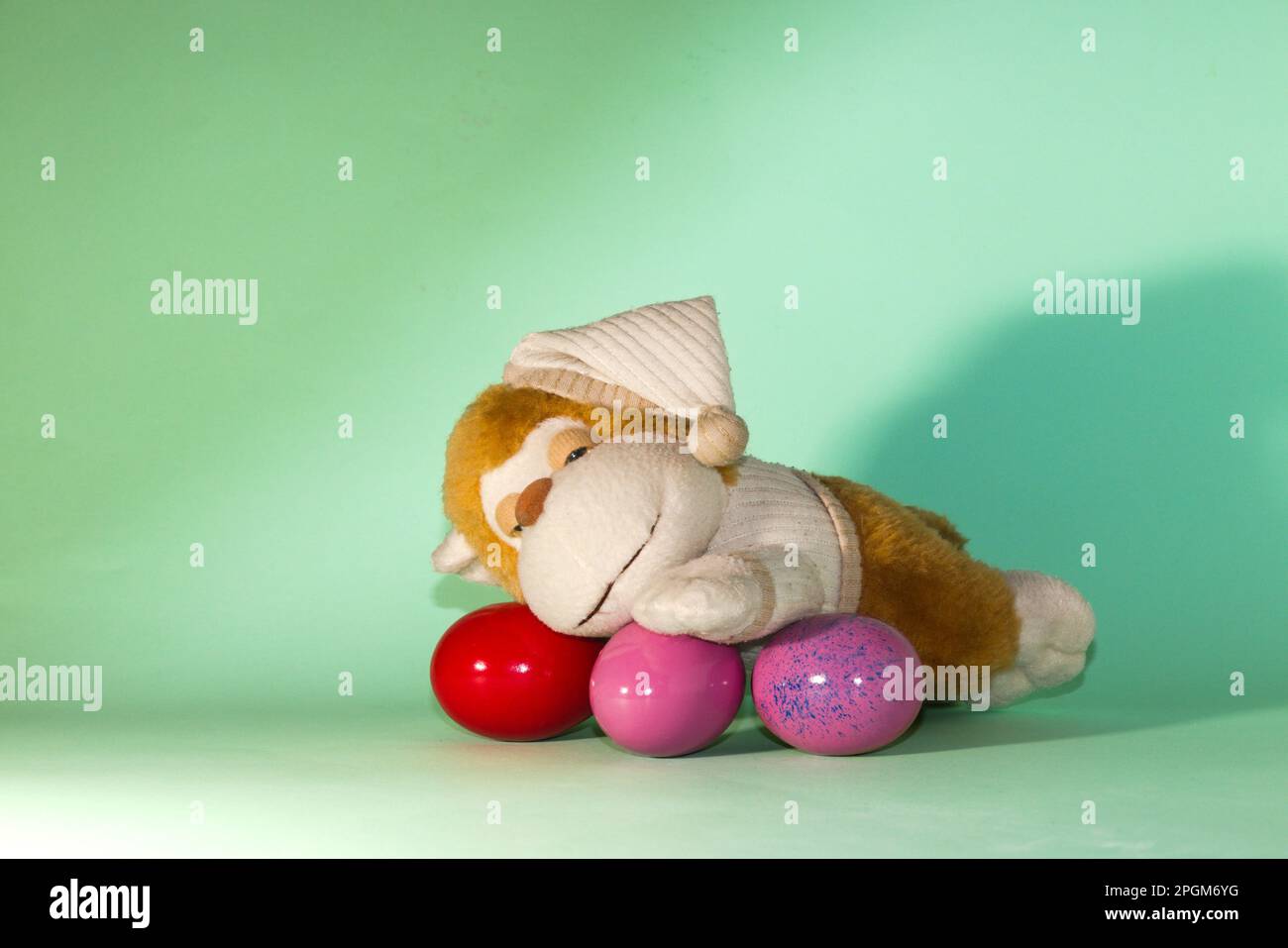 little sleeping monkey lies on the Easter eggs, creative holiday design
