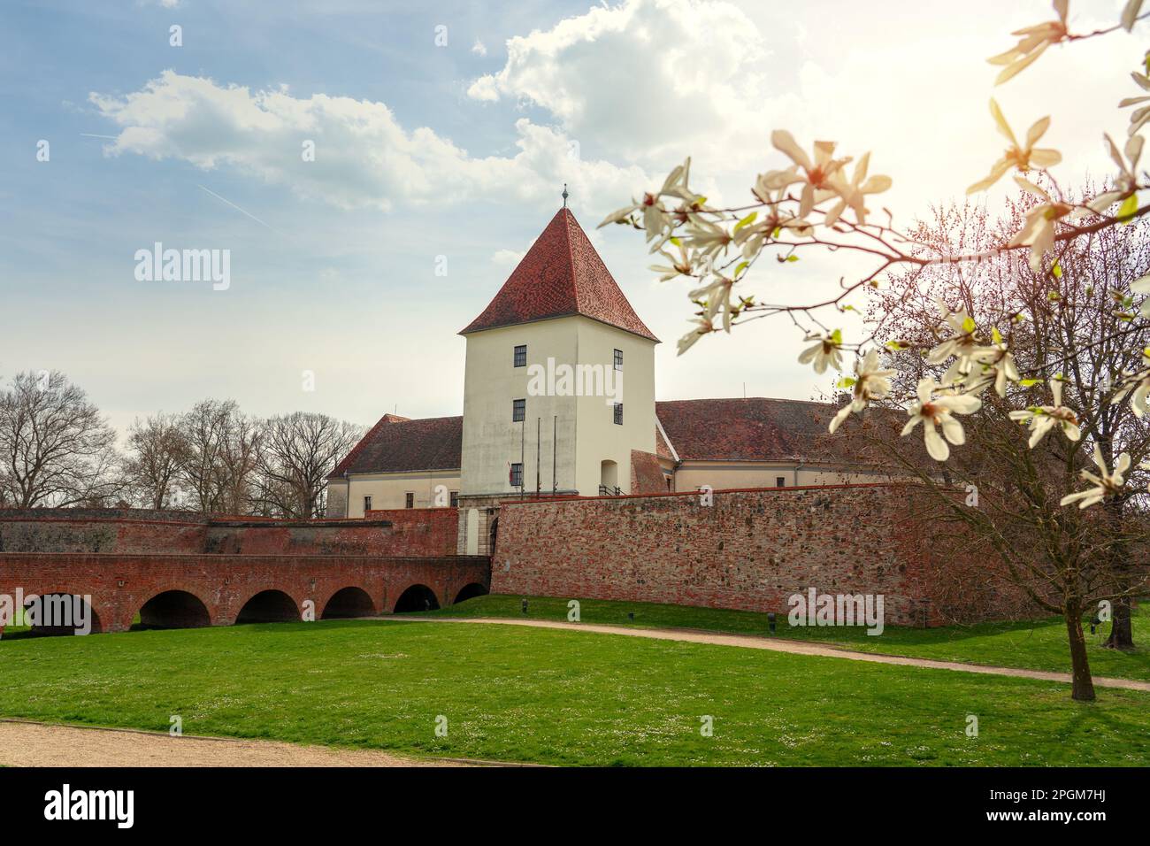 blooming tree spring time next to Sarvar castle in Hungary . Stock Photo