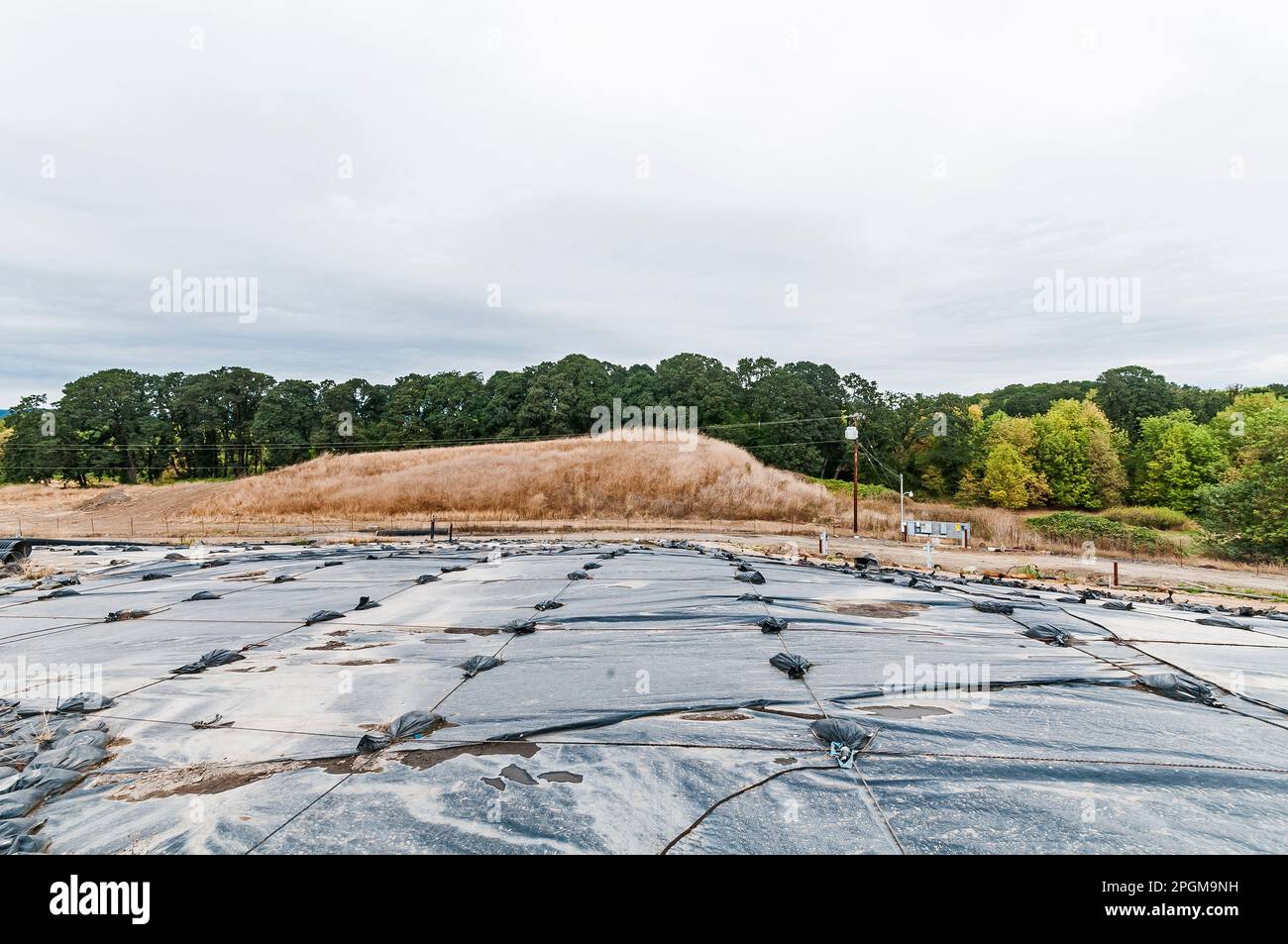 Weighted plastic sheeting covers a hillside in an active landfill.  Probably PVC geomembranes with a tree-line in the distance. Stock Photo