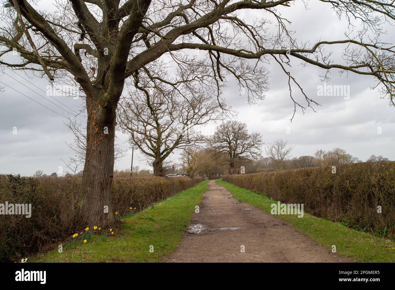 Holyport, UK. 23rd March, 2023. Greystoke Land have submitted outline