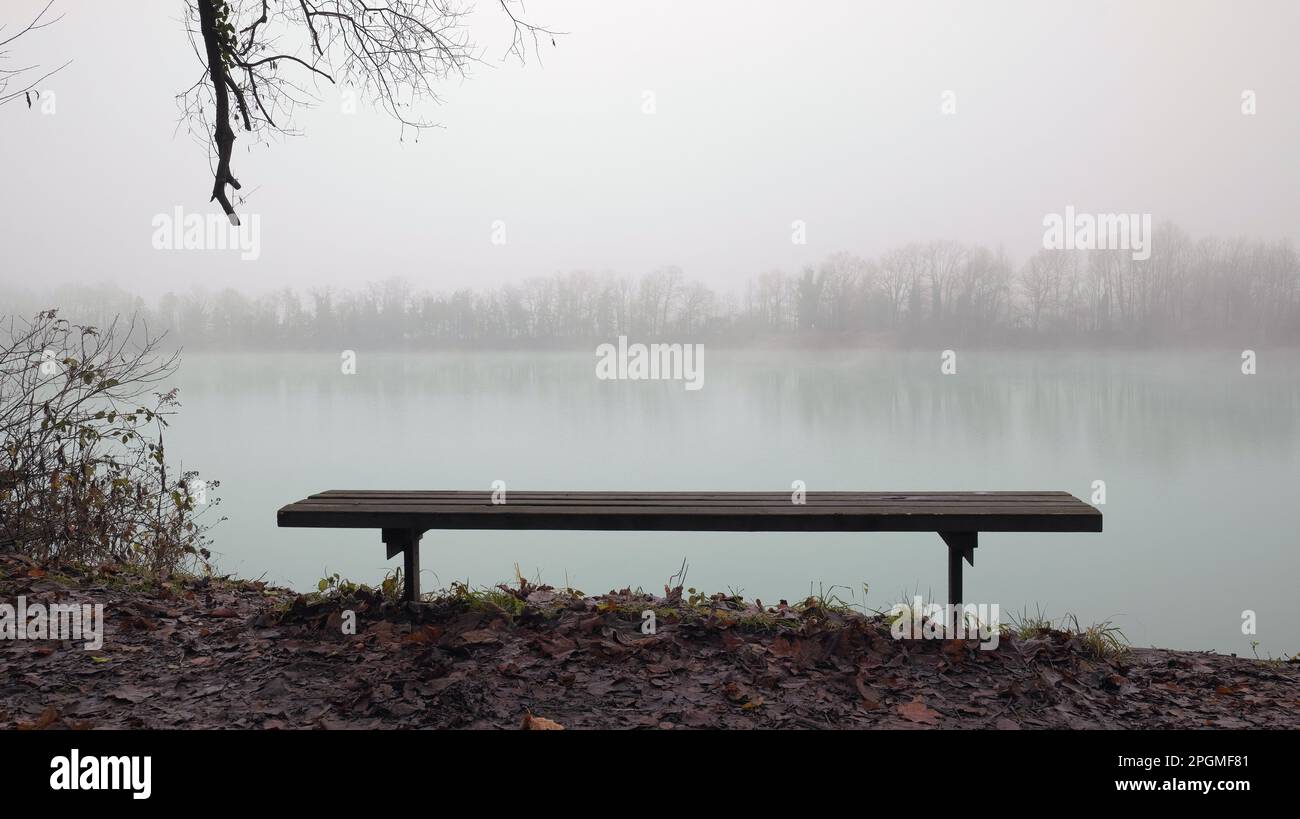 Bench in front of a foggy lake in winter with leaves on the ground Stock Photo