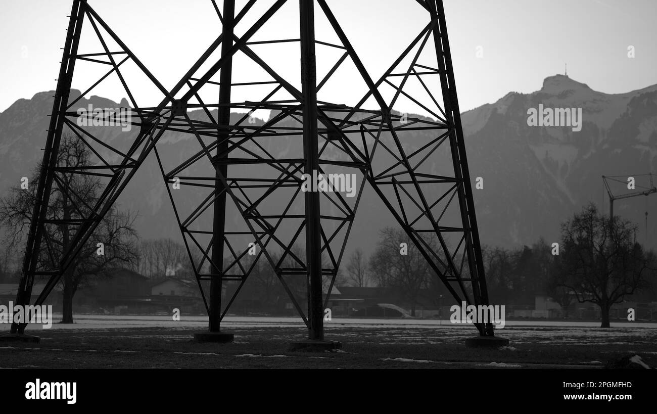 Power pole in front of winter landscape with mountains, trees and crane in background in winter black and white Stock Photo