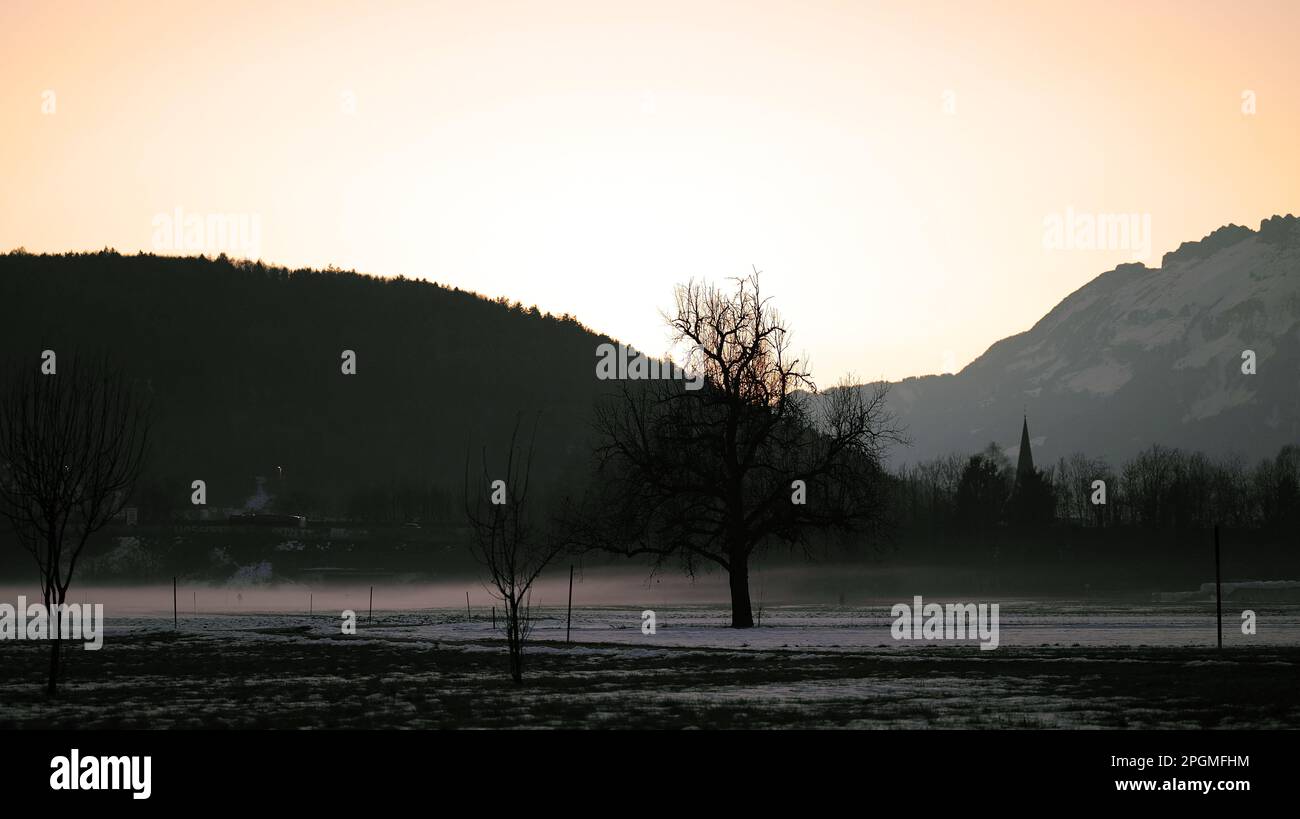 Swath of fog on the ground behind a tree in winter with mountains and church in background in twilight Stock Photo