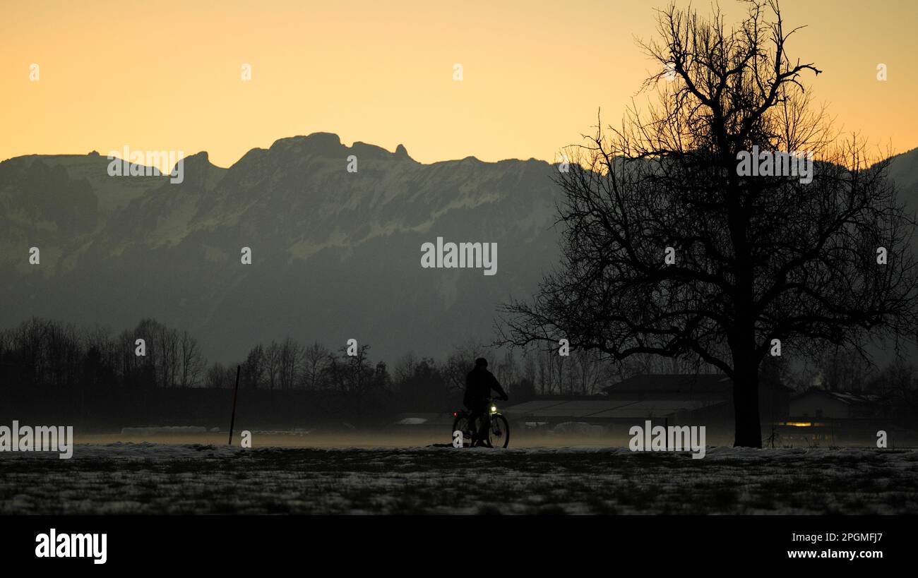 Silhouette of a cyclist with light in winter next to a tree, fog on the ground and mountains in background in twilight Stock Photo