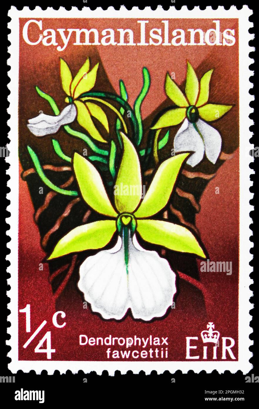 MOSCOW, RUSSIA - MARCH 16, 2023: Postage stamp printed in Cayman Islands shows Dendrophylax fawcettii, Wild Orchids of West Indies serie, circa 1971 Stock Photo