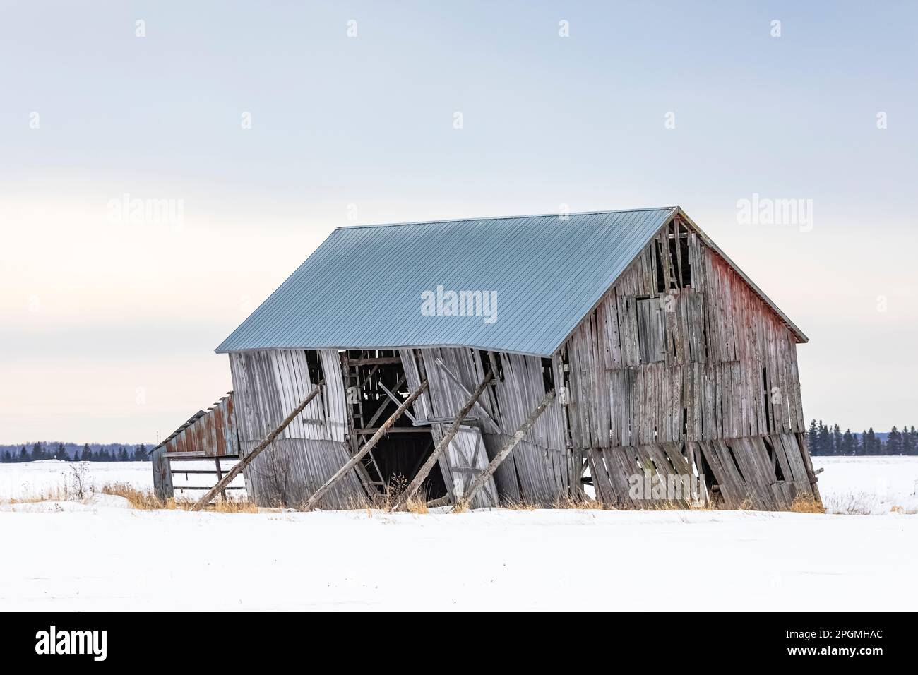 Classic old barn propped up near Rudyard, Upper Peninsula, Michigan, USA [No property release; editorial licensing only] Stock Photo