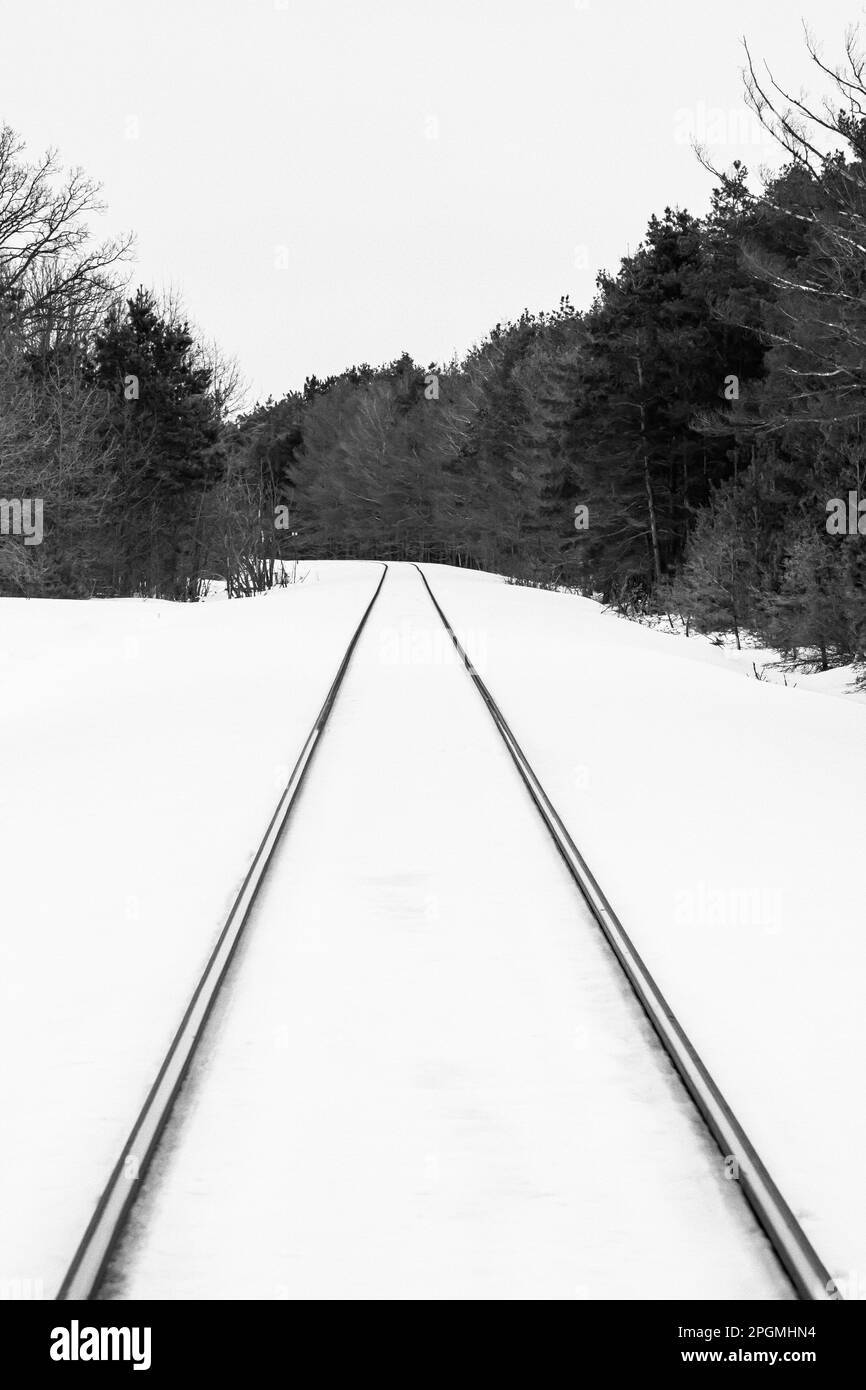 Canadian National tracks at Rudyard, the Snowy Owl Capital of Michigan, Upper Peninsula, Michigan, USA Stock Photo