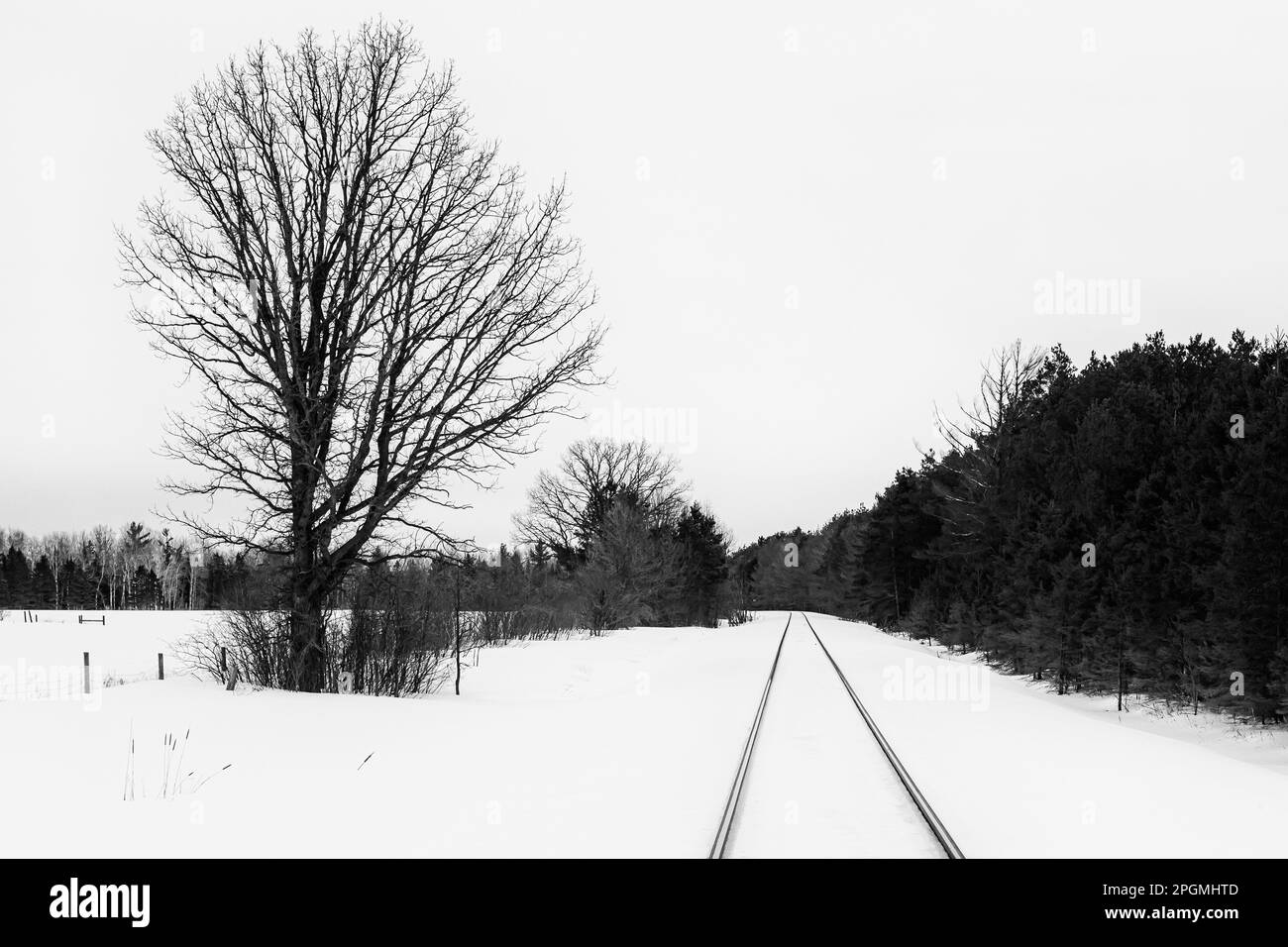 Canadian National tracks at Rudyard, the Snowy Owl Capital of Michigan, Upper Peninsula, Michigan, USA Stock Photo