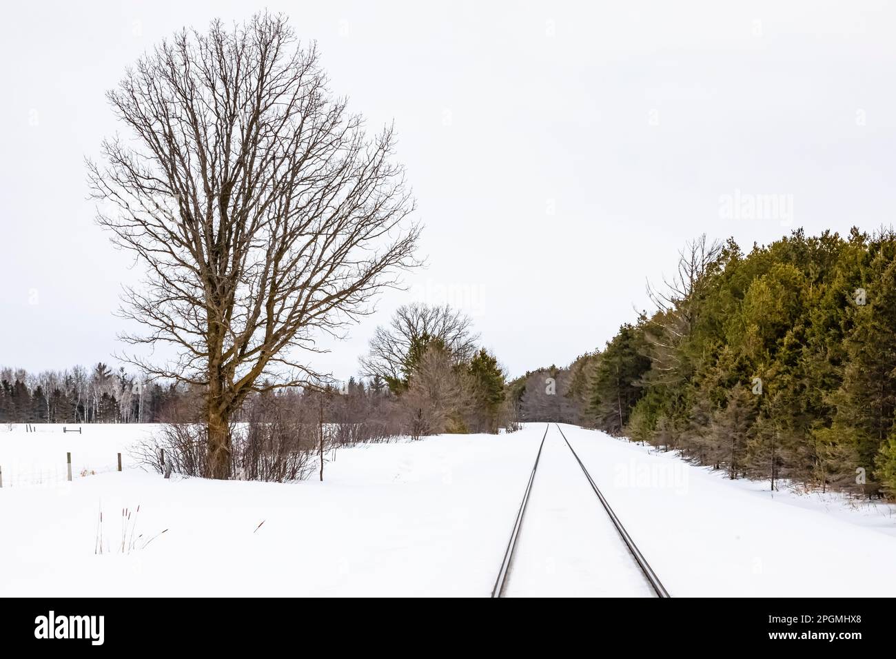Canadian National tracks at Rudyard, the Snowy Owl Capital of Michigan, Upper Peninsula