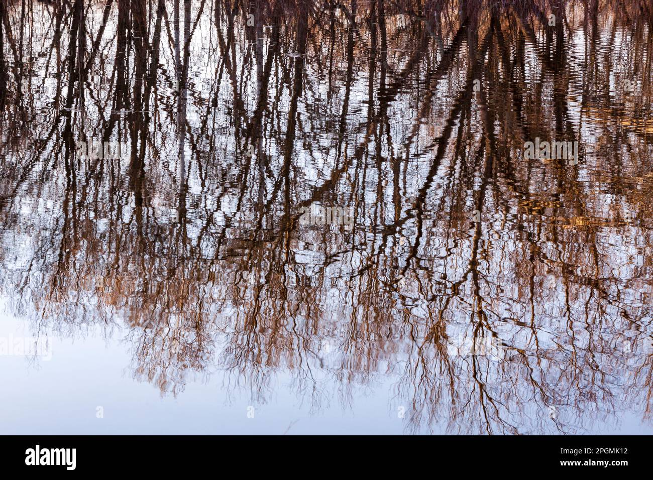 Abstract Reflection of Trees in Water Stock Photo - Alamy